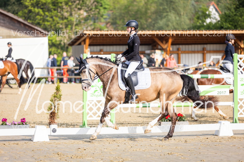 Donop24-A-Dre-020 | MomenTaufnahmen Pferdesportfotos