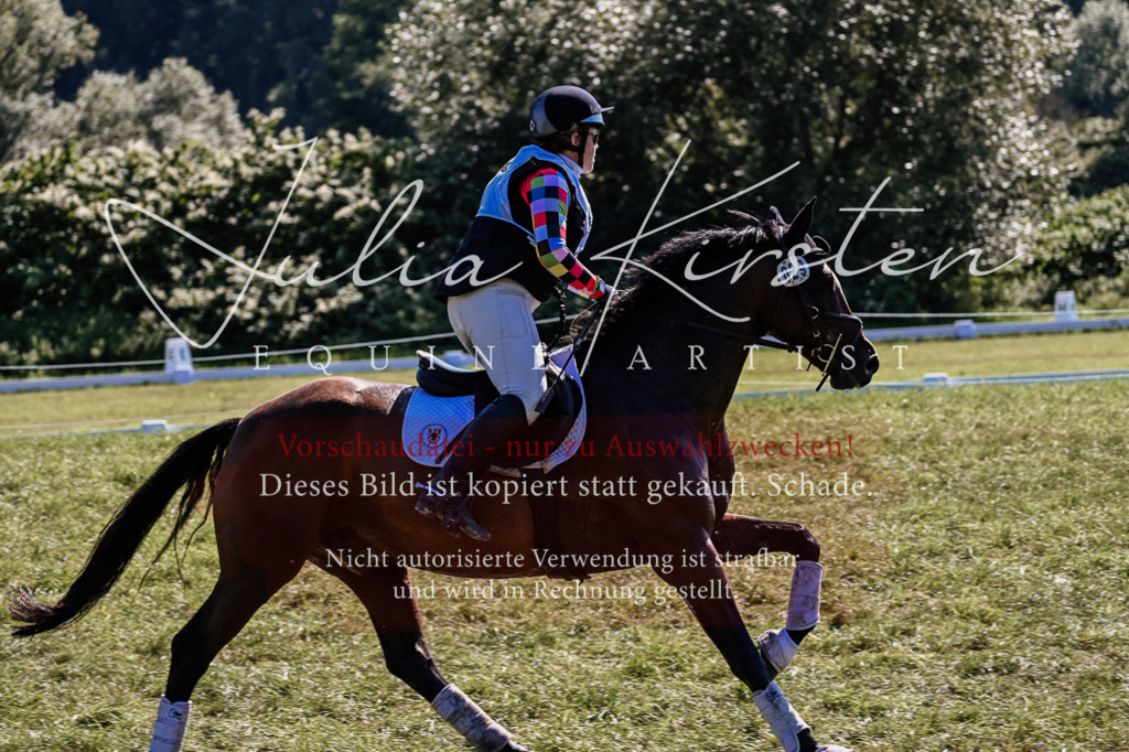 DSC_1586 | Pferde- und Turnierfotografie in Westsachsen. Pferdeportraits, Auftragszeichnungen und intuitive Kunst.