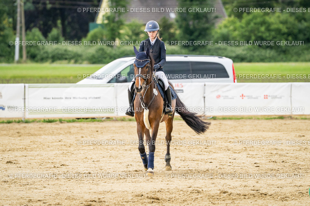 DSC06692 | Pferdegrafie