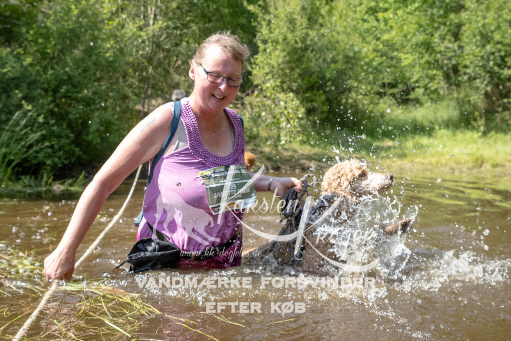 1518DKK991031 | kk-dogfotos
