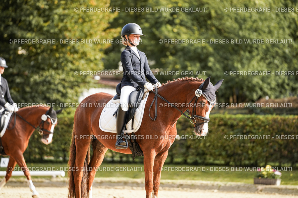 DSC05852 | Pferdegrafie