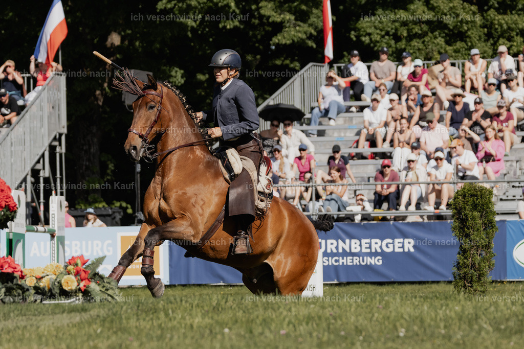 WE_MOS_Stoib_313_PI2025_2252 | Pferd International München 2025