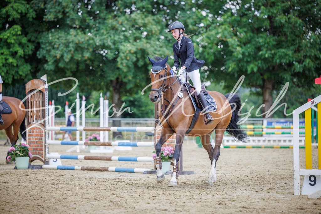 20260705-_3LI4869 | Tierfotografie Pferde, Hunde, Katzen, Haustiere.
Turnierfotografie Reitturniere, Reiten, Springreiten, Dressur in Hanau, dem Main-Kinzig-Kreis und dem Rhein-Main- Gebiet um Frankfurt
