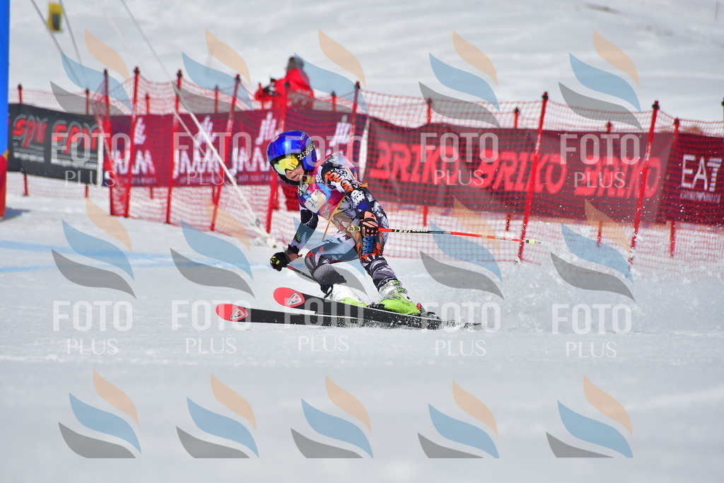 _DSC7365 | holidayphoto