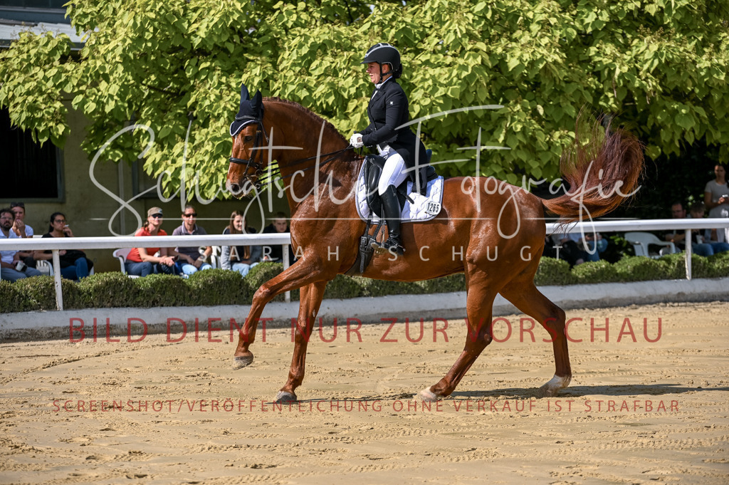 Schugtsche-Aluta25-58. Dressurprf.S1Kand.St.GeorgSpecial-229 | Schugtsche Fotografie - Realisiert mit Pictrs.com