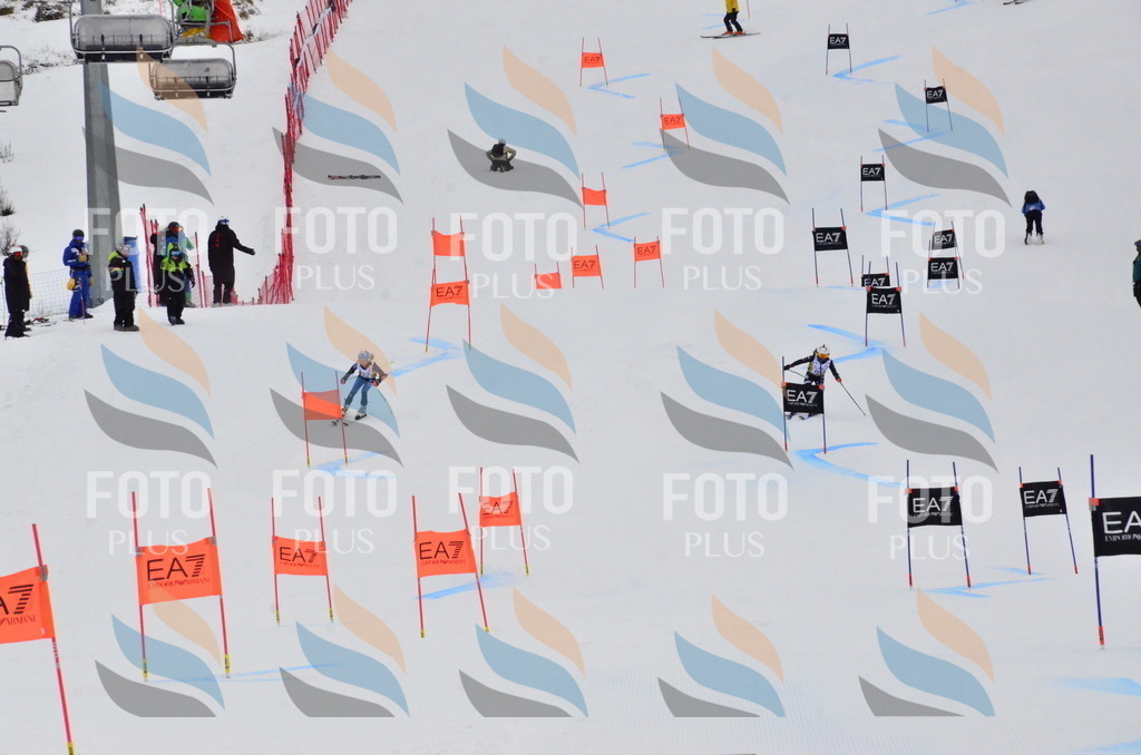 _ELE3706 | holidayphoto