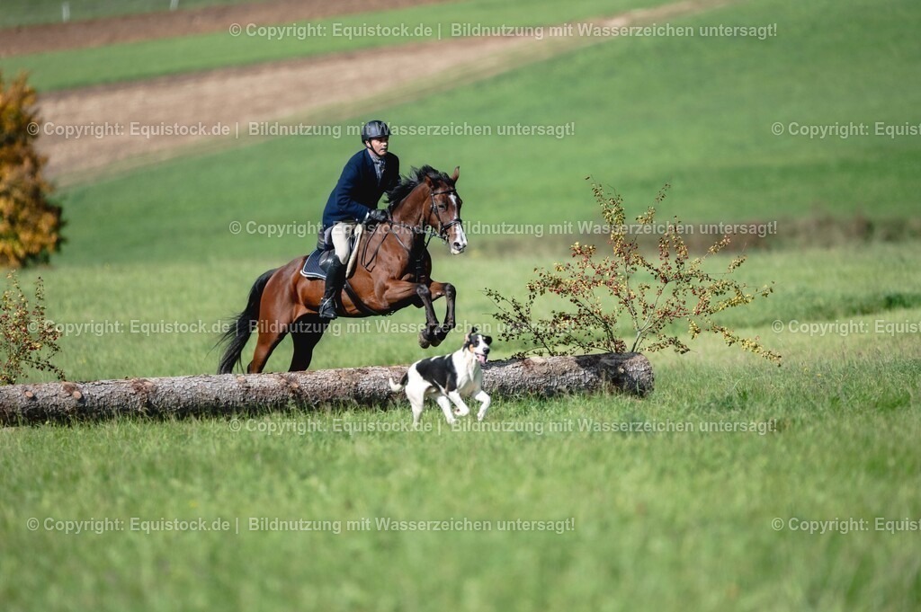20251011_Jagd-Marbach_0232 | Foto: Thomas Hartig