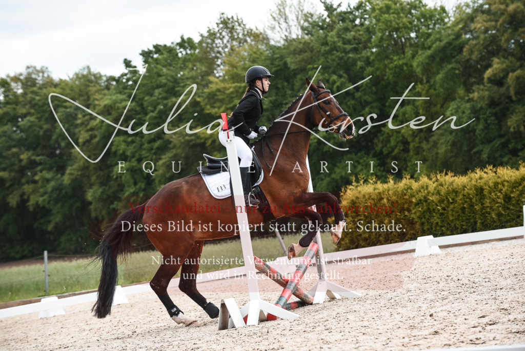20230518_JK-Röhrsdorf-10-183 | Pferde- und Turnierfotografie in Westsachsen. Pferdeportraits, Auftragszeichnungen und intuitive Kunst.