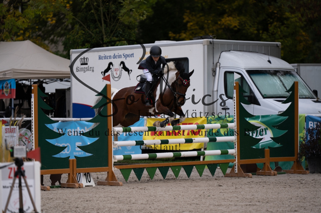 A7V00571 | Pferdefotograf