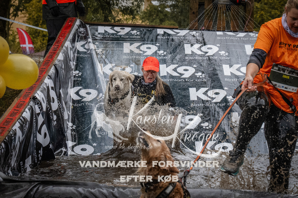 1152_ZZ93754 | kk-dogfotos