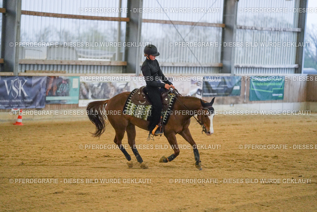 DSC09517 | Pferdegrafie