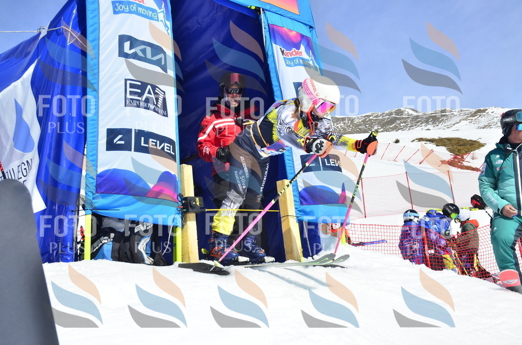 _ELE1078 | holidayphoto