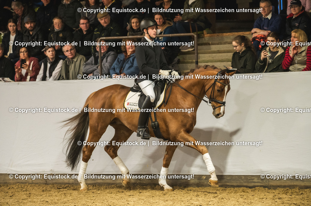 20240302_Hengstvorstellung_Marbach_TOMsPiC_0366 | equistock