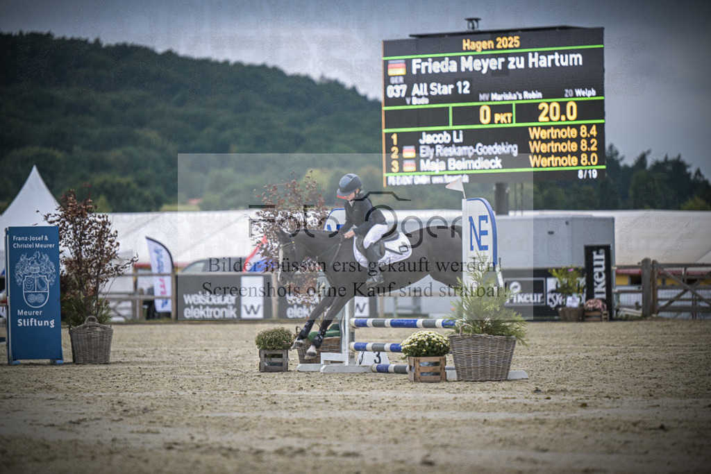 DOS_0418 | Entdecke hochwertige Reitturnierfotos von Foto Oger. Professionell, emotional und authentisch – jetzt Lieblingsmomente im Shop bestellen.Deutschlandweite Turnierfotografie. - Realisiert mit Pictrs.com
