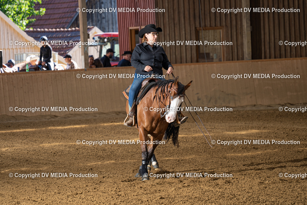 DSC00007 | dv-media-shop - Realisiert mit Pictrs.com