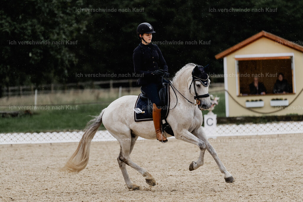 Svea13FHC2025-8414 | working equitationturnier fotograf videograf stoibphotography marixx film working equitation deutschland reitsport turnierfotografie eventfotografie equestrian events