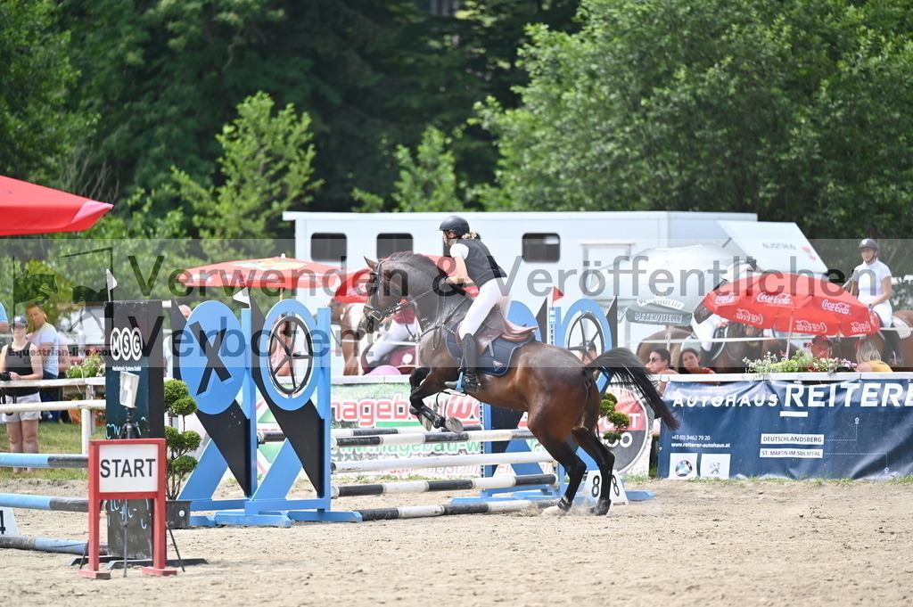 DSC_4222 | equestrian-live-com