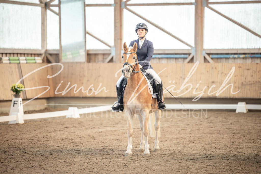 20251011-_3LI6543 | Tierfotografie Pferde, Hunde, Katzen, Haustiere.
Turnierfotografie Reitturniere, Reiten, Springreiten, Dressur in Hanau, dem Main-Kinzig-Kreis und dem Rhein-Main- Gebiet um Frankfurt