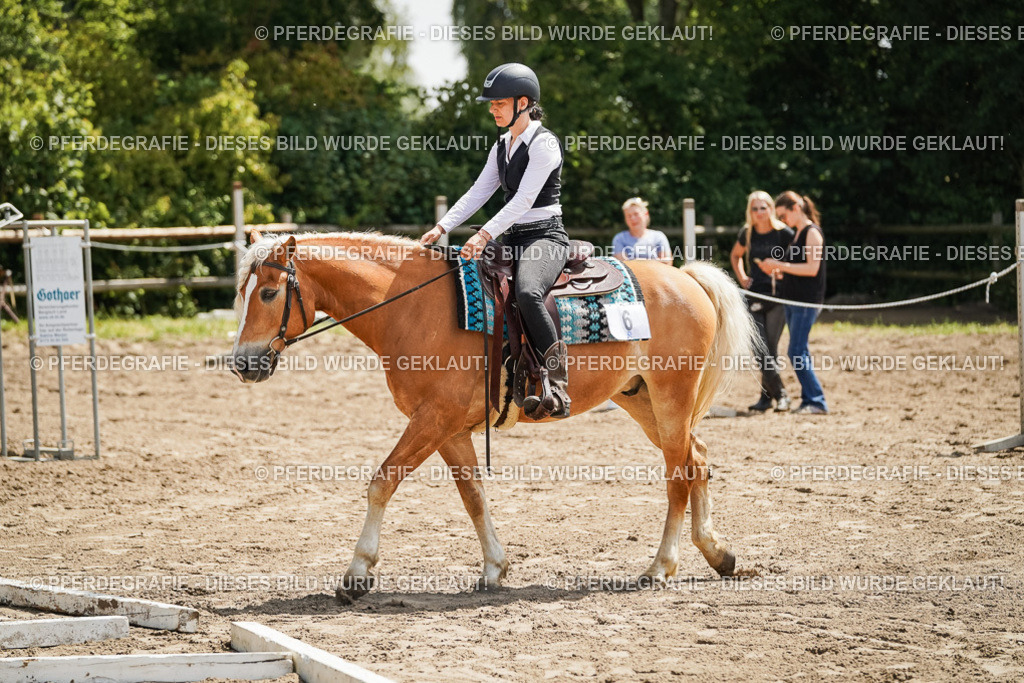 DSC07067 | Pferdegrafie