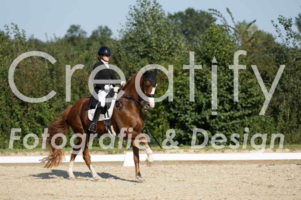 IMG_6401 | Creatify Fotografie