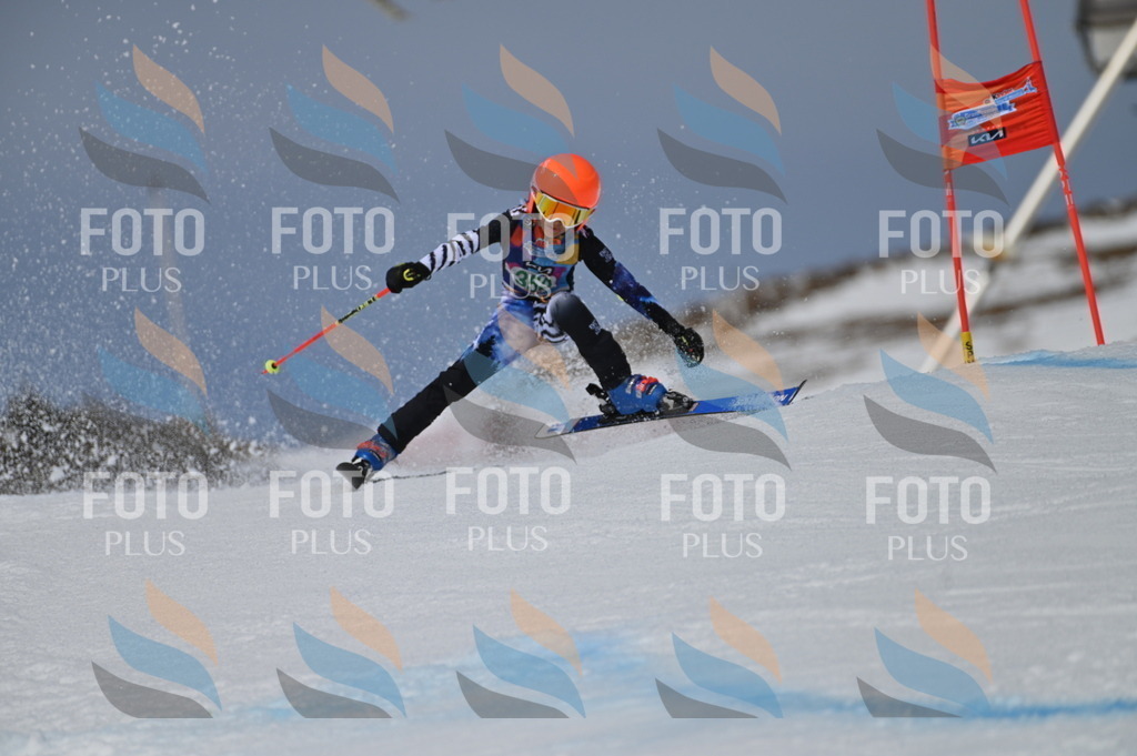 BGV_6917 | holidayphoto