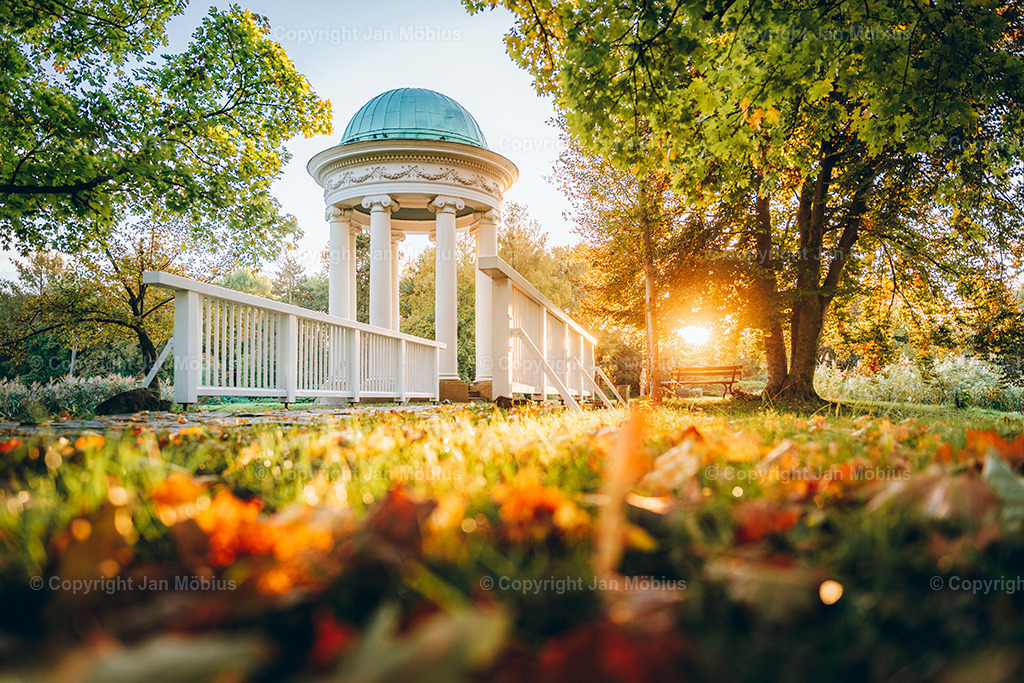 _DSC6420 | Leipzig Wandbilder Drucke Prints Leinwand Stadtmotive Leipzig Fotosdruck Kunstdrucke Bilder Leipzig Stadtansichten Acrylglasbilder Leipzig Wanddeko Fine Art Prints Wandbilder Büro Leipzig Bilder Praxis Zuhause Bilderdruck Poster Posterlounge Kunstdrucke - Realisiert mit Pictrs.com