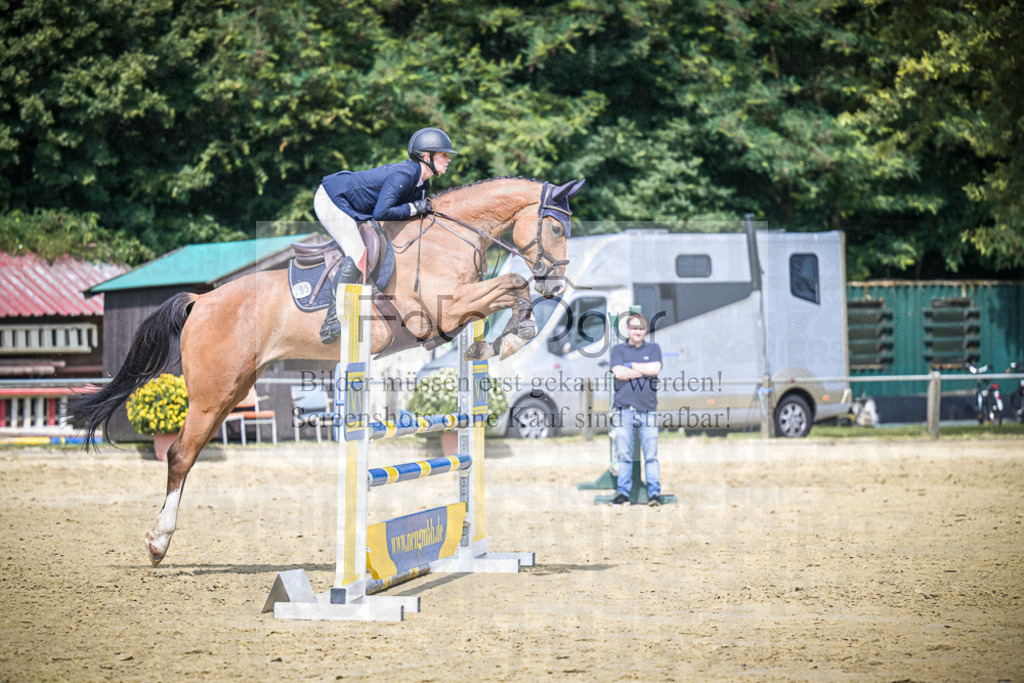 DOS_6532 | Entdecke hochwertige Reitturnierfotos von Foto Oger. Professionell, emotional und authentisch – jetzt Lieblingsmomente im Shop bestellen.Deutschlandweite Turnierfotografie. - Realisiert mit Pictrs.com