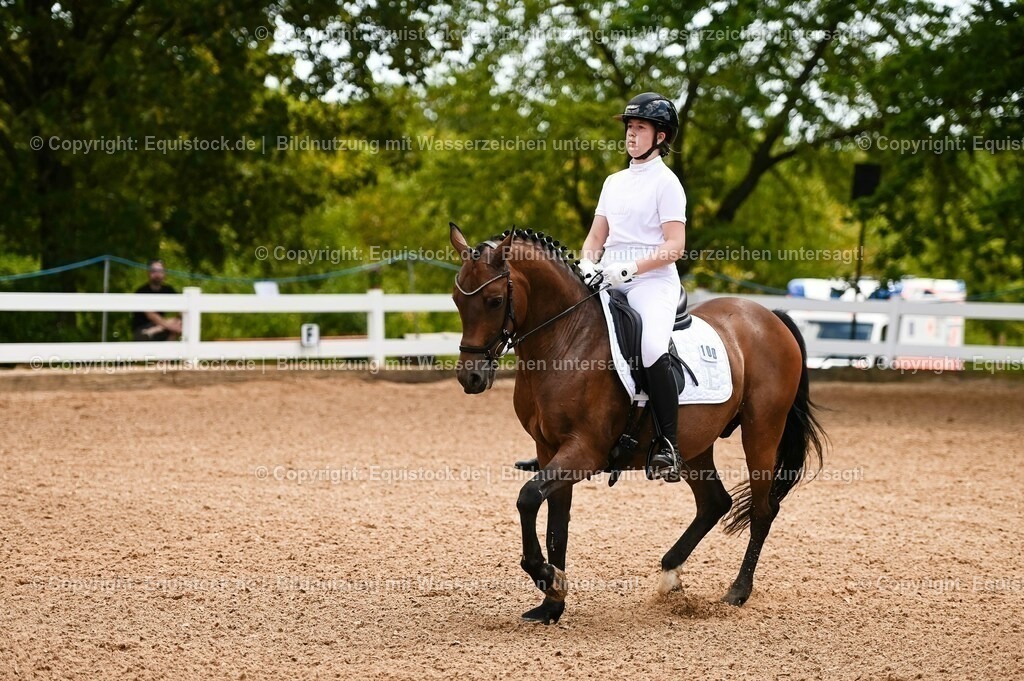 20230715_05_Dressurprüfung Kl.A++_0050 | equistock