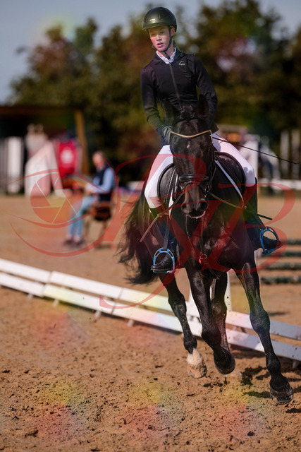 2026_10_03_Siefer-Hof_115803_Z81_00012142 | Professionelle Reitsport-, Turnier- und Eventfotografie von Robert Broda. Galerien mit ausgewählten und bearbeiteten Bildern direkt online ansehen und bestellen.