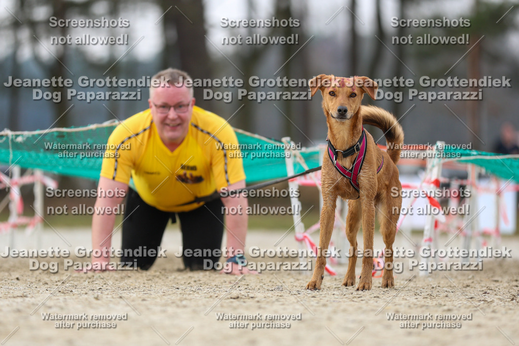 Dog Paparazzi - Strongdog North Mrz26-4500 | Dog Paparazzi Jeanette Grottendiek Fotografie & Videografie - Realisiert mit Pictrs.com