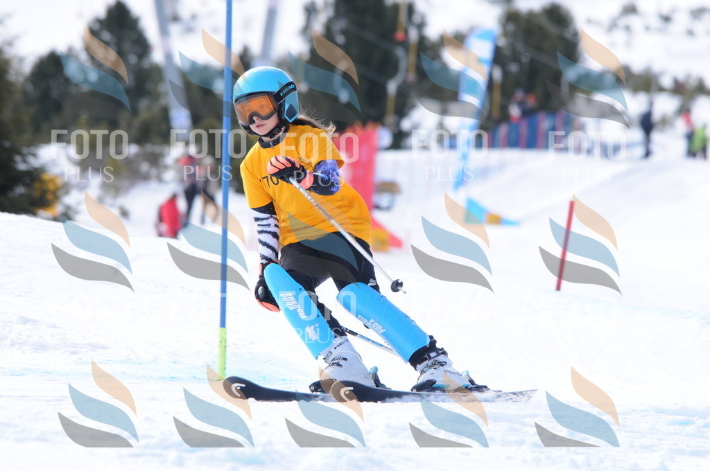 C7377 | holidayphoto