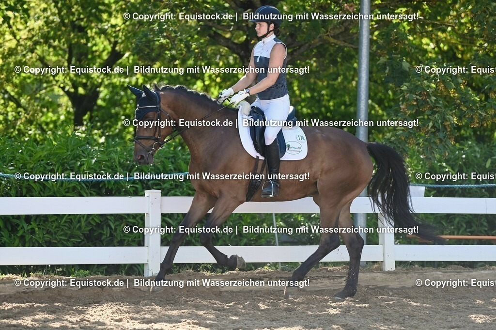 20230715_06_Dressurpferdeprfg. Kl.A_0406 | equistock