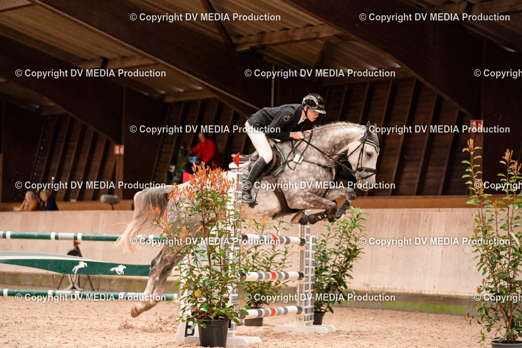 Springen Tag 1-450 | dv-media-shop - Realisiert mit Pictrs.com