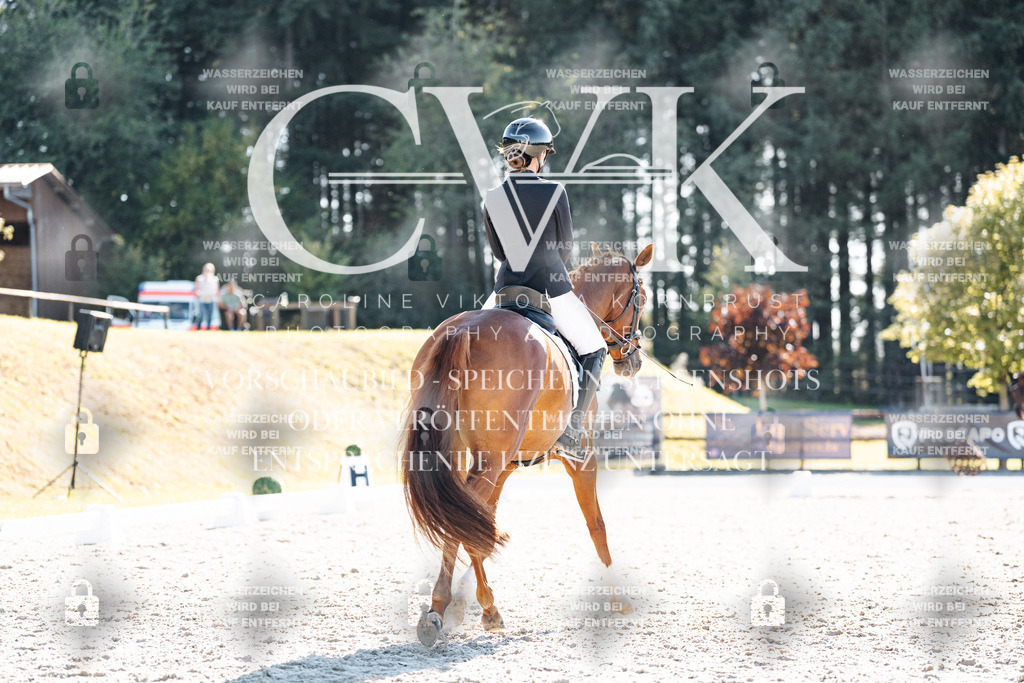 CK906000 | Turnierfotografie Pferdefotografie Trier Rheinland-Pfalz Pferdesport Reitsport Tierfotografie Sportfotografie Pferdevideo Pferdevideografie Equestrianvideography equestrianphotography  - Realisiert mit Pictrs.com