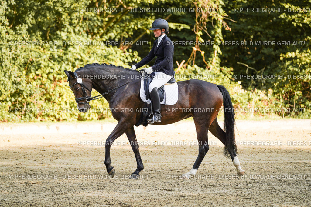 DSC05638 | Pferdegrafie