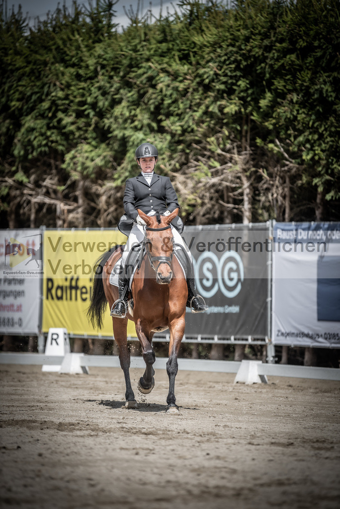DSC_2353 | equestrian-live-com