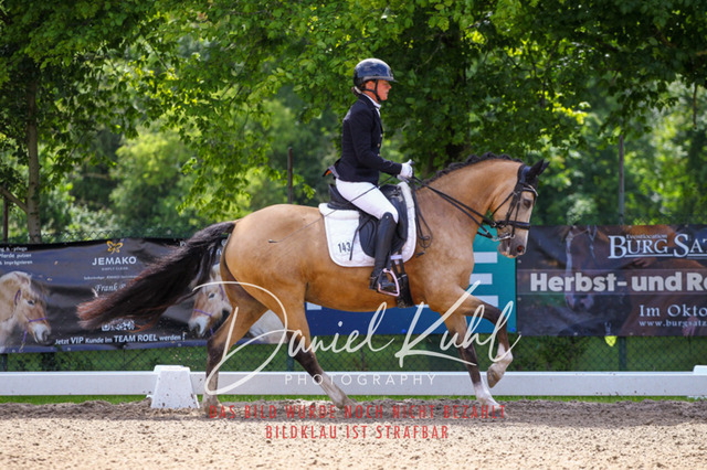 DKP40929 | Turnierfotos kaufen im Webshop von Daniel Kuhl Photography – entdecke professionelle Reitsportfotos aus Turnieren & Events. Hochwertige Turnierbilder online bestellen & sichern. Jetzt Fotos von Reitsportturnieren kaufen!