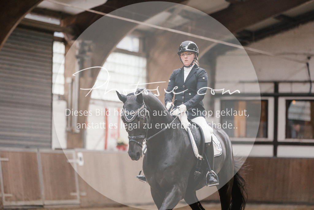 3I6A6302 | Stimmungsvolle Portraits und Reitsportfotografie im Ruhrgebiet und im Münsterland.

Pferdefotografie, Hundefotografie, Tierfotografie, Reportagen, Portraits von Tier und Mensch, Turnierfotografie in Bochum, Recklinghausen, Marl, Haltern am See, Dülmen.. - Realisiert mit Pictrs.com