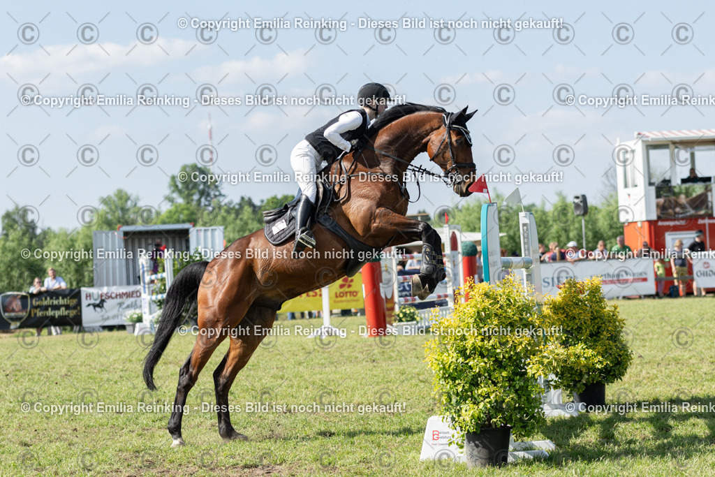 CL5A5149 | Emilia Reinking Fotografie - Realisiert mit Pictrs.com