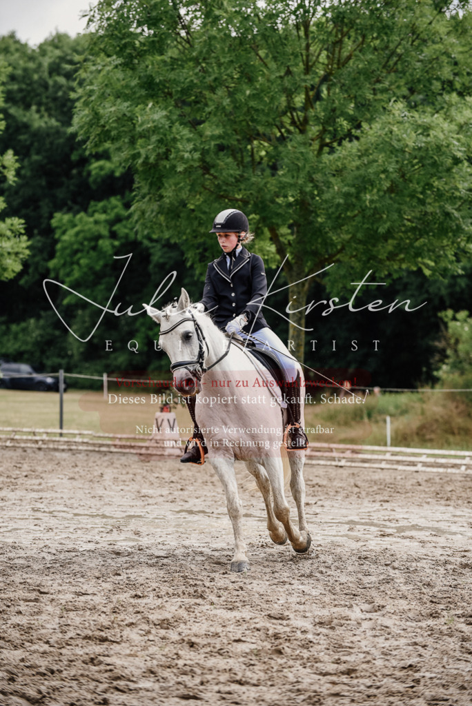 DSC_9436 | Pferde- und Turnierfotografie in Westsachsen. Pferdeportraits, Auftragszeichnungen und intuitive Kunst.