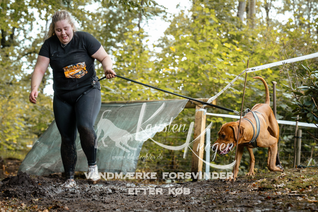 1427DZ6_2110Z6 | kk-dogfotos