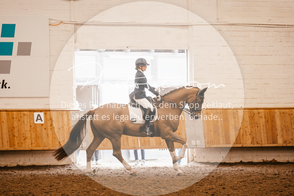 3I6A2546 | Stimmungsvolle Portraits und Reitsportfotografie im Ruhrgebiet und im Münsterland.

Pferdefotografie, Hundefotografie, Tierfotografie, Reportagen, Portraits von Tier und Mensch, Turnierfotografie in Bochum, Recklinghausen, Marl, Haltern am See, Dülmen.. - Realisiert mit Pictrs.com