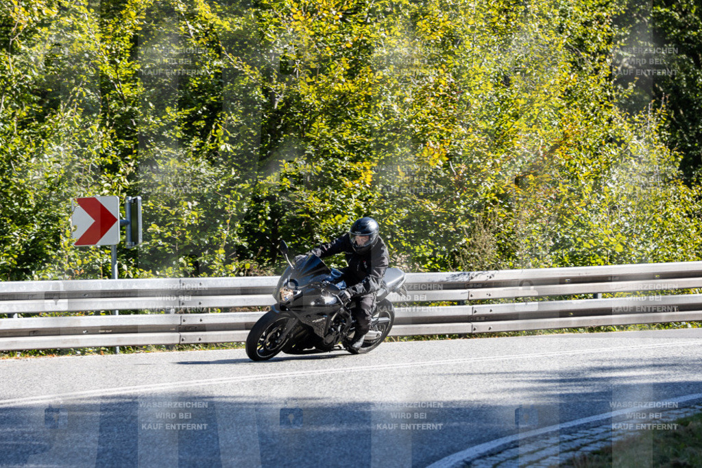 IMG_3668 | jrph - Realisiert mit Pictrs.com