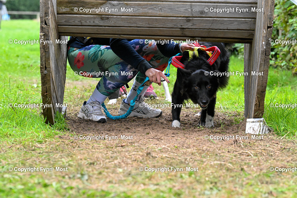DSC_1615 | Hallo und herzlich Willkommen auf meiner Shop-Seite Fynn Most.

Ich wünsche Dir viel Spaß beim stöbern durch die Bilder, wenn Du Fragen hast oder Bilder vermisst, kannst du mir gerne eine Nachricht schreiben. - Realisiert mit Pictrs.com