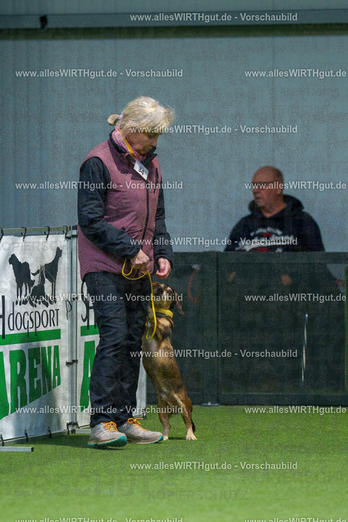 7R505842 | Professionelle Tierfotografie in Mönchengladbach von Daniel Wirth (allesWIRTHgut). Liebevolle & natürliche Bilder von Hunden & Katzen für unvergessliche Erinnerungen.