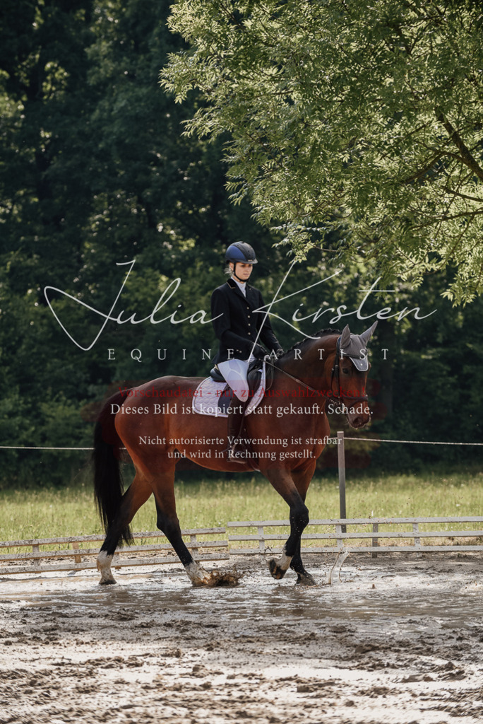 DSC_8991 | Pferde- und Turnierfotografie in Westsachsen. Pferdeportraits, Auftragszeichnungen und intuitive Kunst.