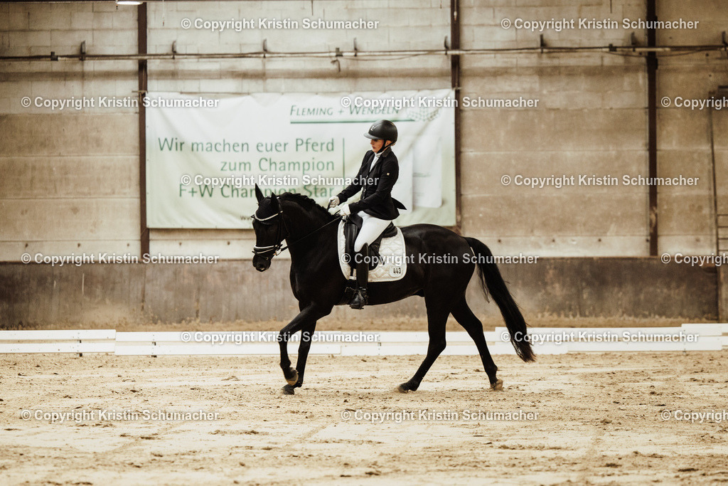 Prf. 8-64 | Kristin Schumacher Photography