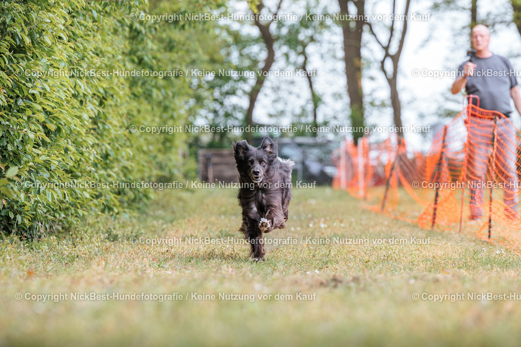 Sage Hunderennen Frühlingsfest-2026-Nickbest-Hundefotografie-0735 | Dein Hund! Dein Moment! Deine Erinnerungen! Hundefotografie in Bremen Blumenthal. Ich fange die besonderen Momente deines Vierbeiners ein – ob Indoor mit Blitzanlage oder in der freien Natur. Sicher dir dein Moment und dein Termin für eure Erinnerungen.