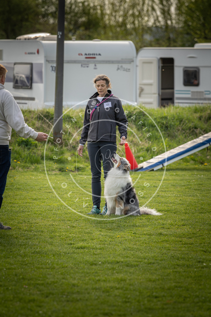 Pfotenfotografie_DV3A4910 | Hundefotografie, Tierfotograf, Pfotenfotografie, Fotoshooting Hund, Hunde Portrait, Hundesport, Hundeportraits, Heideshooting, Hunde, Sportfotograf, Hundefotograf, Turnierhundsport, THS,  - Realisiert mit Pictrs.com