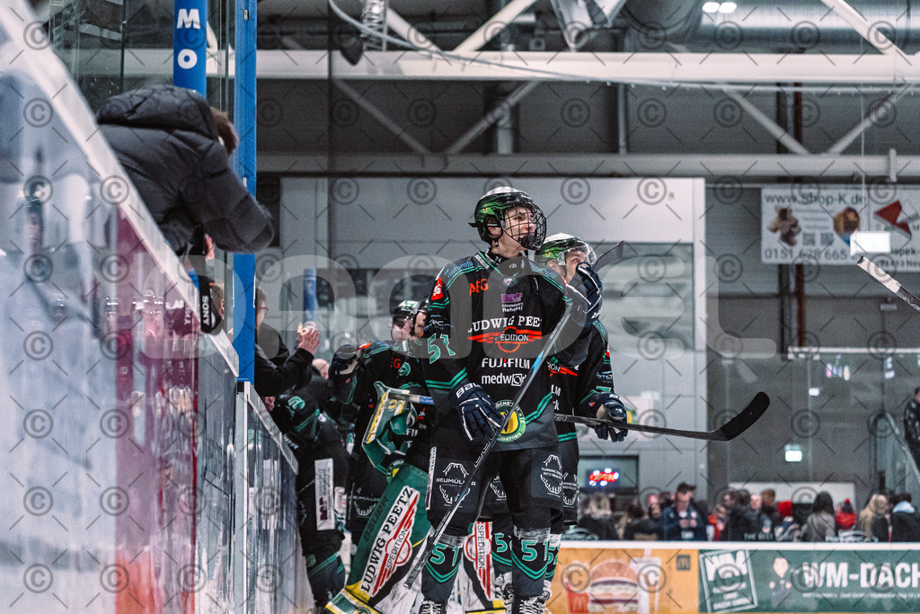 Alligators_vs_Selb_27_02_2026-58 | Höchstadt Alligators Fotogalerie: Eishockey-Action aus Franken. Professionelle Spielfotos, Portraits & Stadionbilder zum Download. Jetzt entdecken! - Realisiert mit Pictrs.com